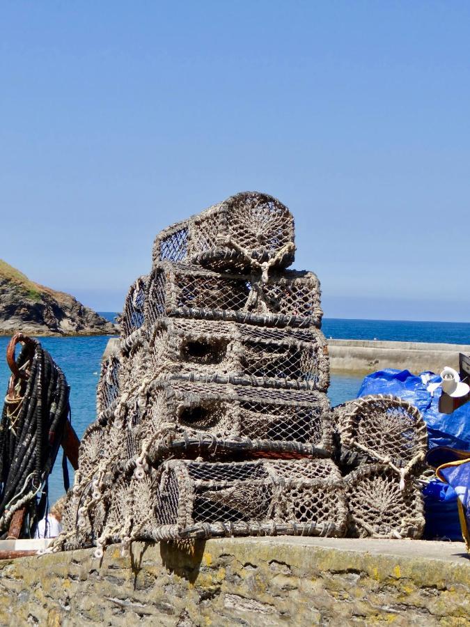 The Slipway B&B Port Isaac Zewnętrze zdjęcie