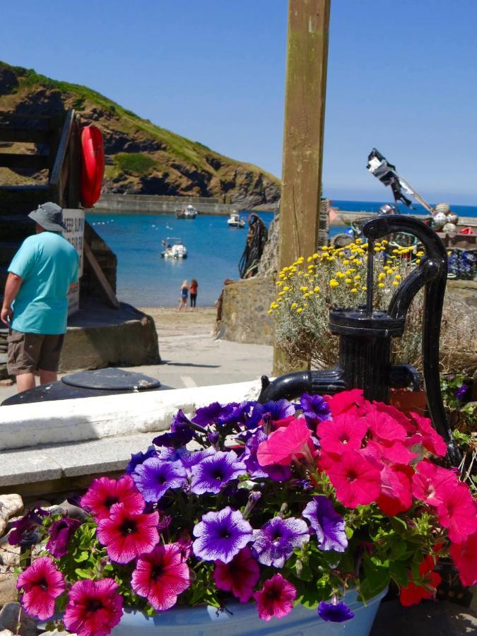 The Slipway B&B Port Isaac Zewnętrze zdjęcie